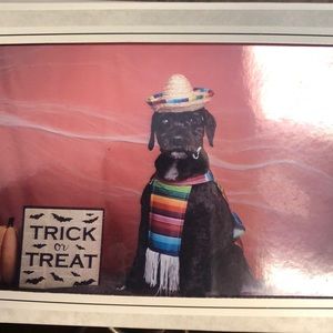 Meet your Posher, Yvonne